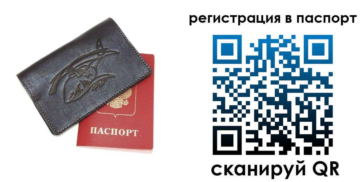 прописка поиск в Домодедово